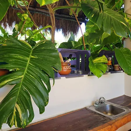 The Secret Garden Apartment