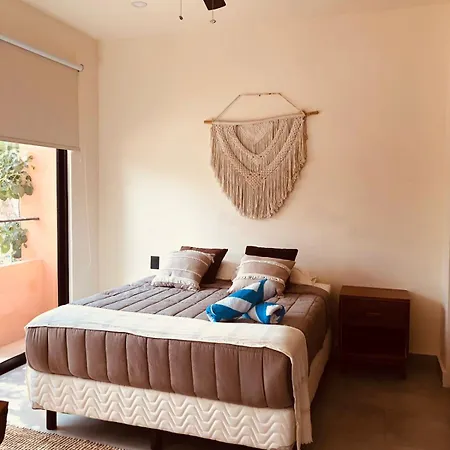 Estudio Completo En La Selva Tulum