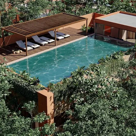 Estudio Completo En La Selva Apartment Tulum