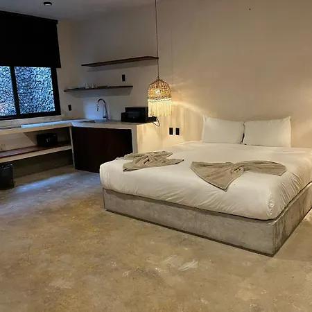 Cute And Cozy With Rooftop Pool * Tulum