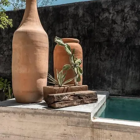 Apartment Exquisite Architectural Oasis Private Pool *