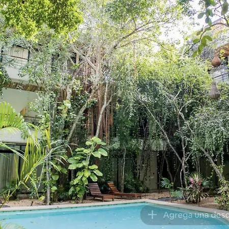 Etnika A3 Comodo Tuluminati Entre La Jungla Tulum