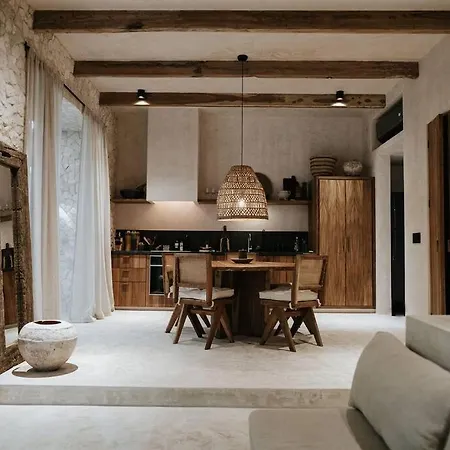 Apartment Design Loft With Private Pool And Like Feature Tulum