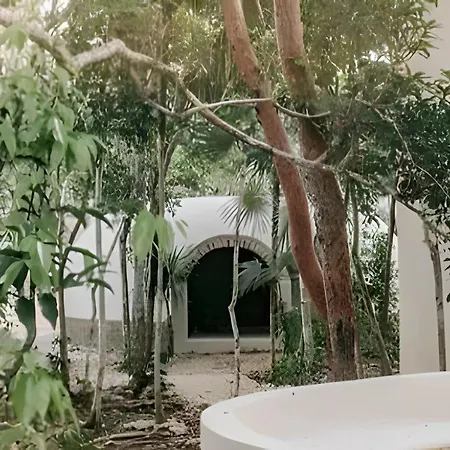 Casa En La Selva Nueva Relajante De Ensueno Apartment *