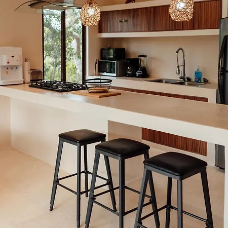 Proyecto Unico De 2 Recamaras Con Cenotes Apartment