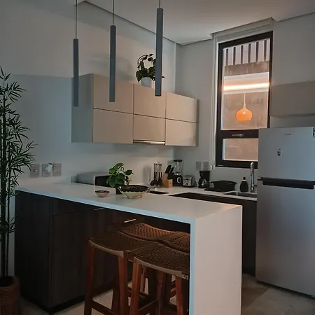 Apartment Departamento De 1 Hab Con Balcon En Zona Hotelera Ad