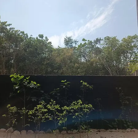 Departamento De 1 Hab Con Balcon En Zona Hotelera Ad Tulum