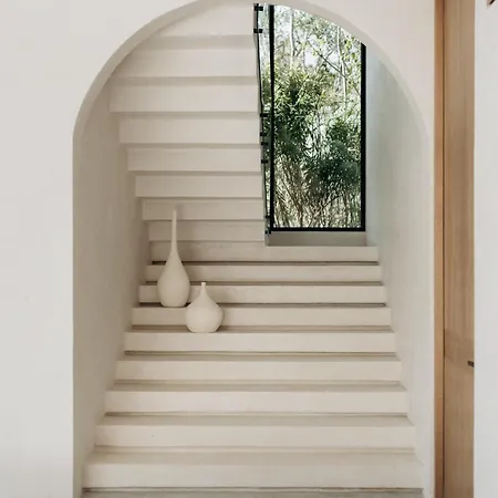 Lev - Celebrated Architectural Designer *