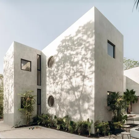 Lev - Celebrated Architectural Designer *