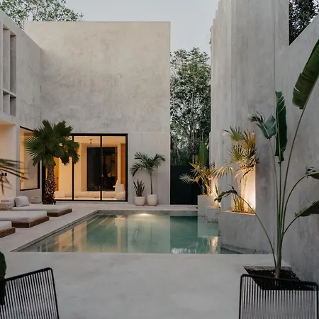 Lev - Celebrated Architectural Designer