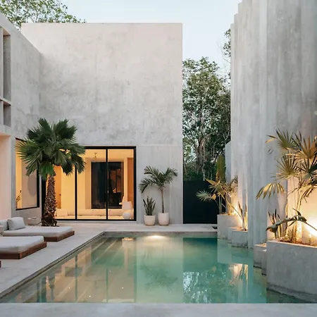 Lev - Celebrated Architectural Designer * Tulum