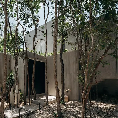 Lev - Celebrated Architectural Designer * Tulum