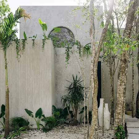 Lev - Celebrated Architectural Designer
