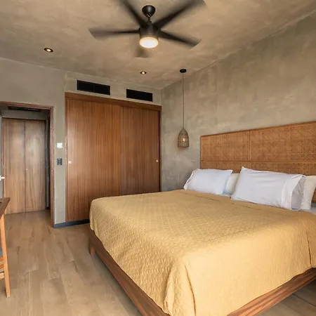 Penthouse In *