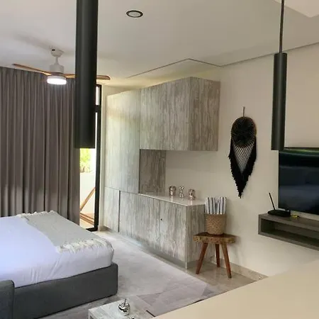 El Estudio Perfecto Ti En Aldea Zama Tulum