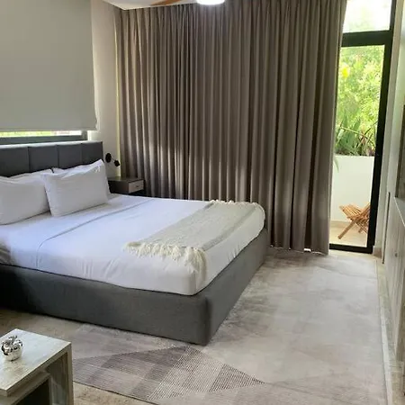 El Estudio Perfecto Ti En Aldea Zama * Tulum