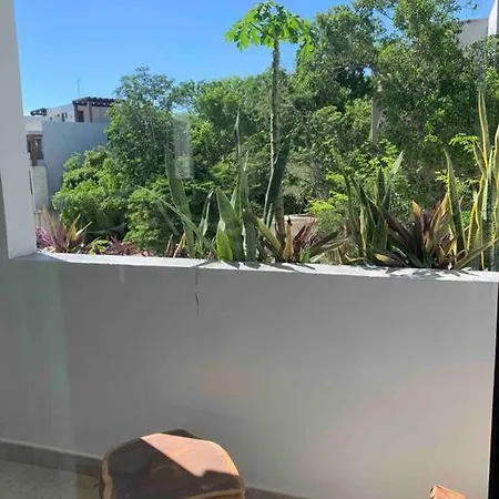 El Estudio Perfecto Ti En Aldea Zama