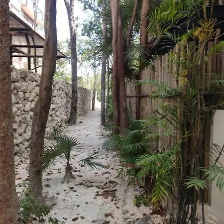 Beautiful Relax Aldea Luum Zama * Tulum