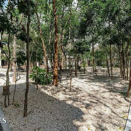 Espacioso Loft C/vista Al Jardin | Piscina | Gym Сasa de vacaciones