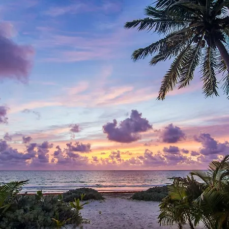 Inside The Biosphere Reserve Of Sian Kaan Villa Tulum