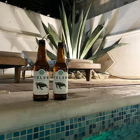Villa Gorgeous In Aldea Zama With Club Access Tulum