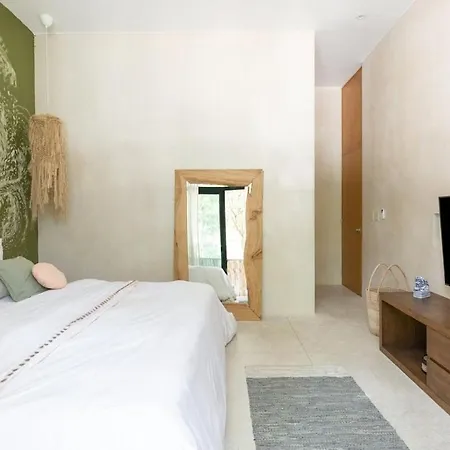 Luxurious In Aldea Zama With Pool Apartment
