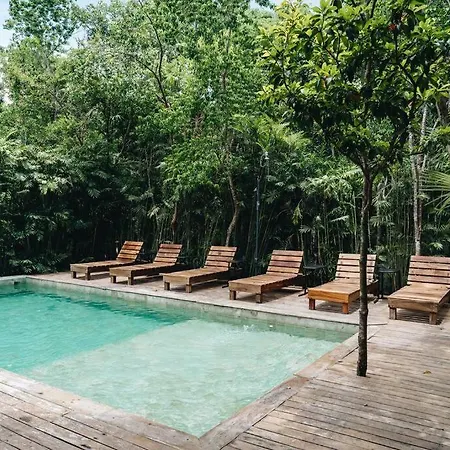 Luxury Villa, Club - Jungle View - Sahara Bleu *