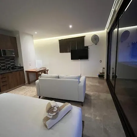 Apartment Private Pool, King Bed, Cenote, High Speed Wi-fi *
