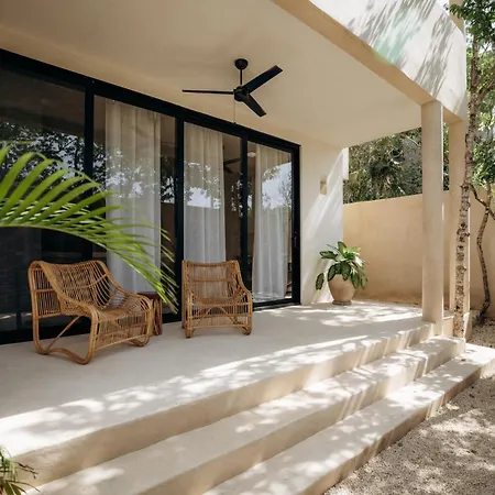 Tulipan Bohemian * Tulum