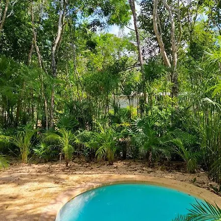 Tao Edena G4 Spacious With Gym & Jacuzzi * Tulum