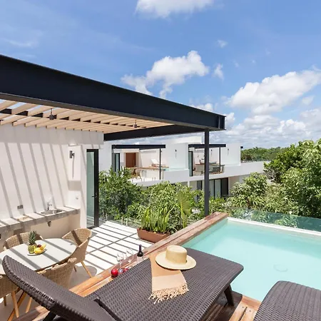 Estudio Penthouse Inmerso En La Jungla