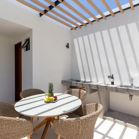 Estudio Penthouse Inmerso En La Jungla