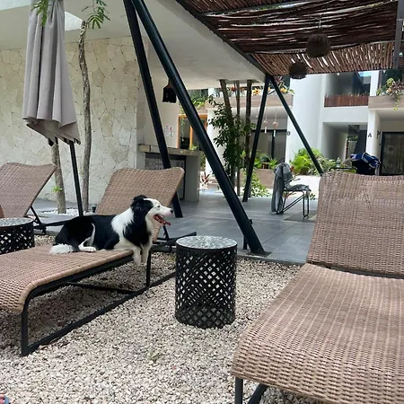 Apartment Hermoso Estudio En Naia *