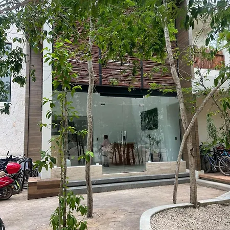 Hermoso Estudio En Naia Tulum