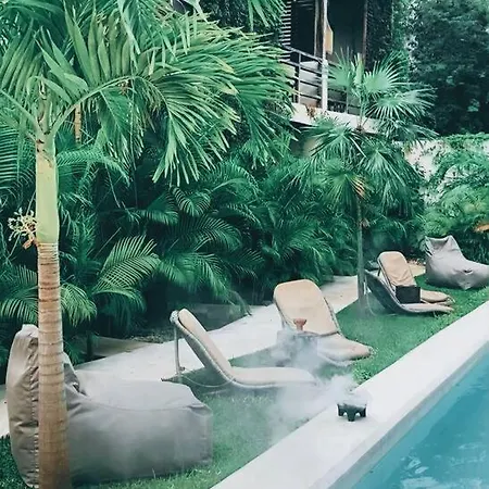 Apartment Oasis In Hippest Part Of Tulum