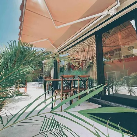 Oasis In Hippest Part Of * Tulum