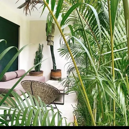 Apartment Oasis In Hippest Part Of