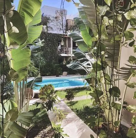 Apartment Oasis In Hippest Part Of Tulum
