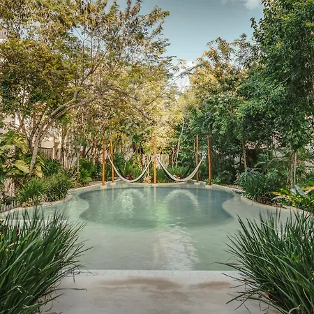 Casa Palalma Penthouse With Private Rooftop Pool Apartment