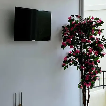 Apartment Hermoso Y Amplio Departamento 5 En Ir23 Tulum