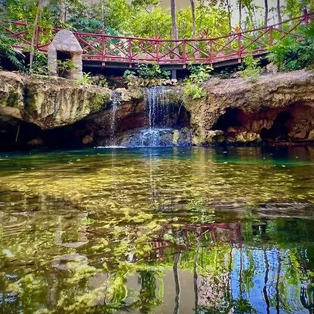Luxurious Jungle And Private Cenote Apartment *