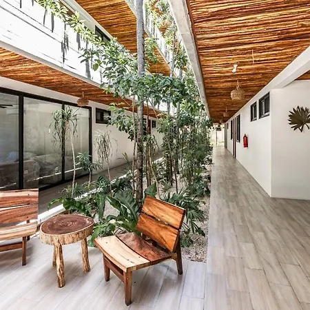 Apartment Qr - Comodo Depa Parejas En Con Alberca *