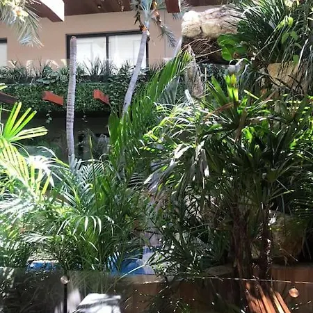 012 Modern Luxurious Wifi 100 Mb Apartment Tulum