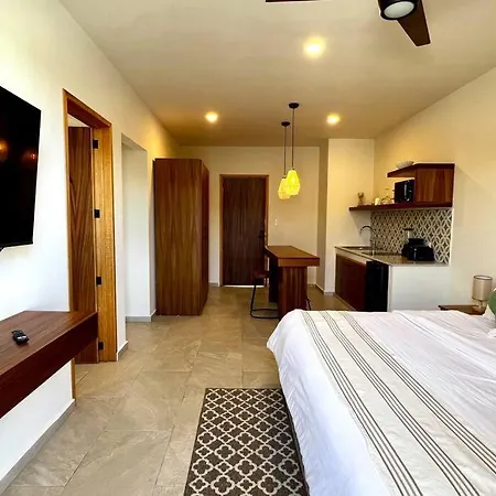 Spacious Penthouse With Pool Apartamento *