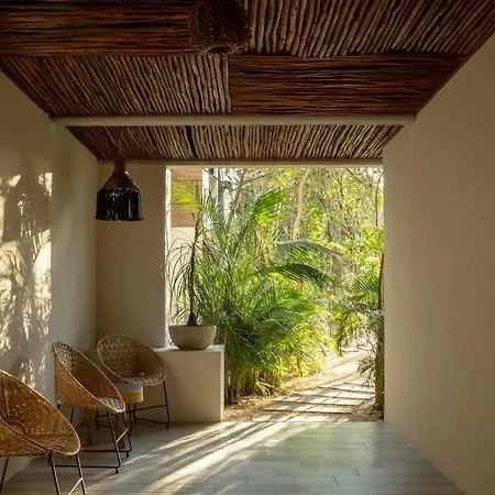New 2 Bed And Bath - - Views To The Jungle *