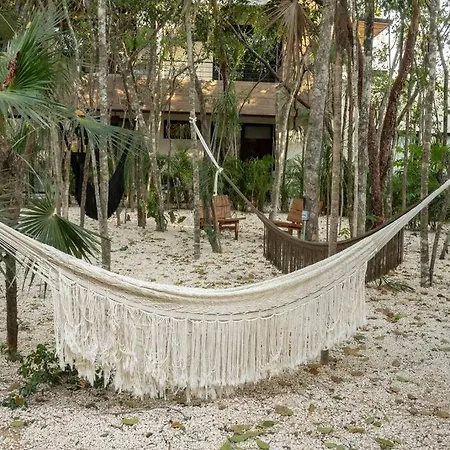 New 2 Bed And Bath - - Views To The Jungle Apartamento