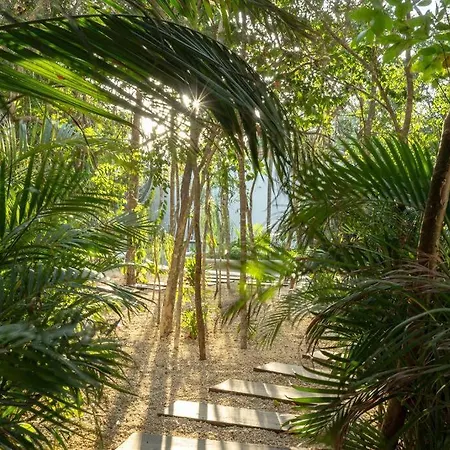 New 2 Bed And Bath - - Views To The Jungle