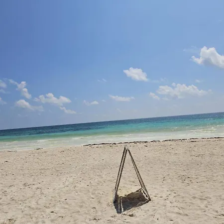 Free Beach Club- Sea View Rooftop 1br * Tulum