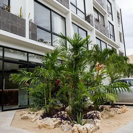 Bora Near & Town Free Club Tulum