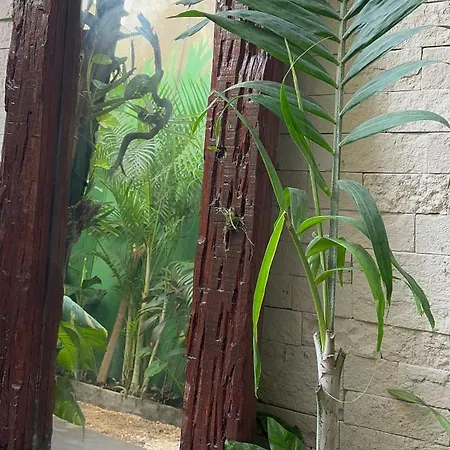 Sencillo Apartment *